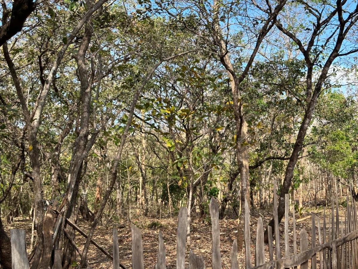 Finca Avellanas Lorena Esterno foto