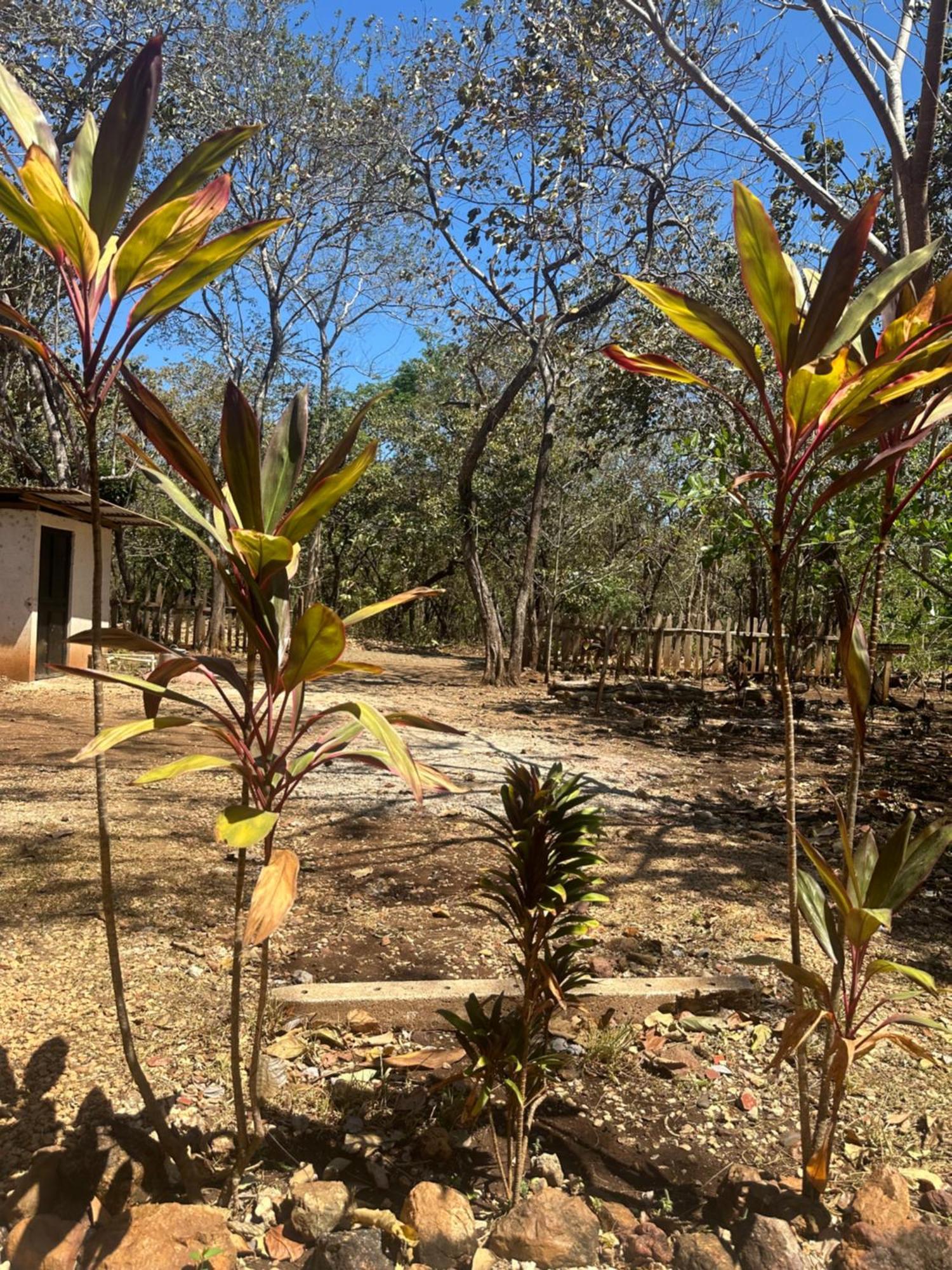 Finca Avellanas Lorena Esterno foto