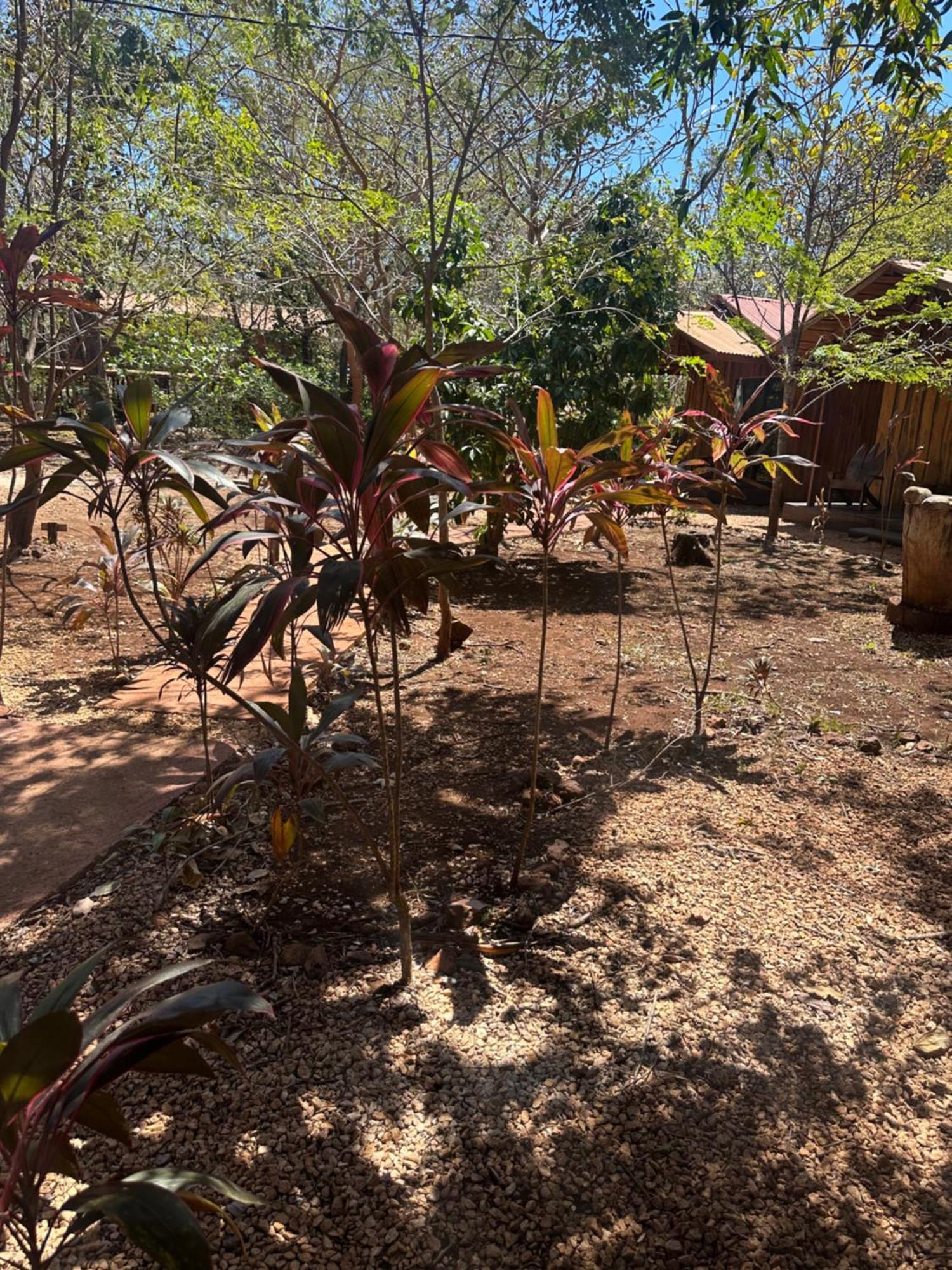 Finca Avellanas Lorena Esterno foto