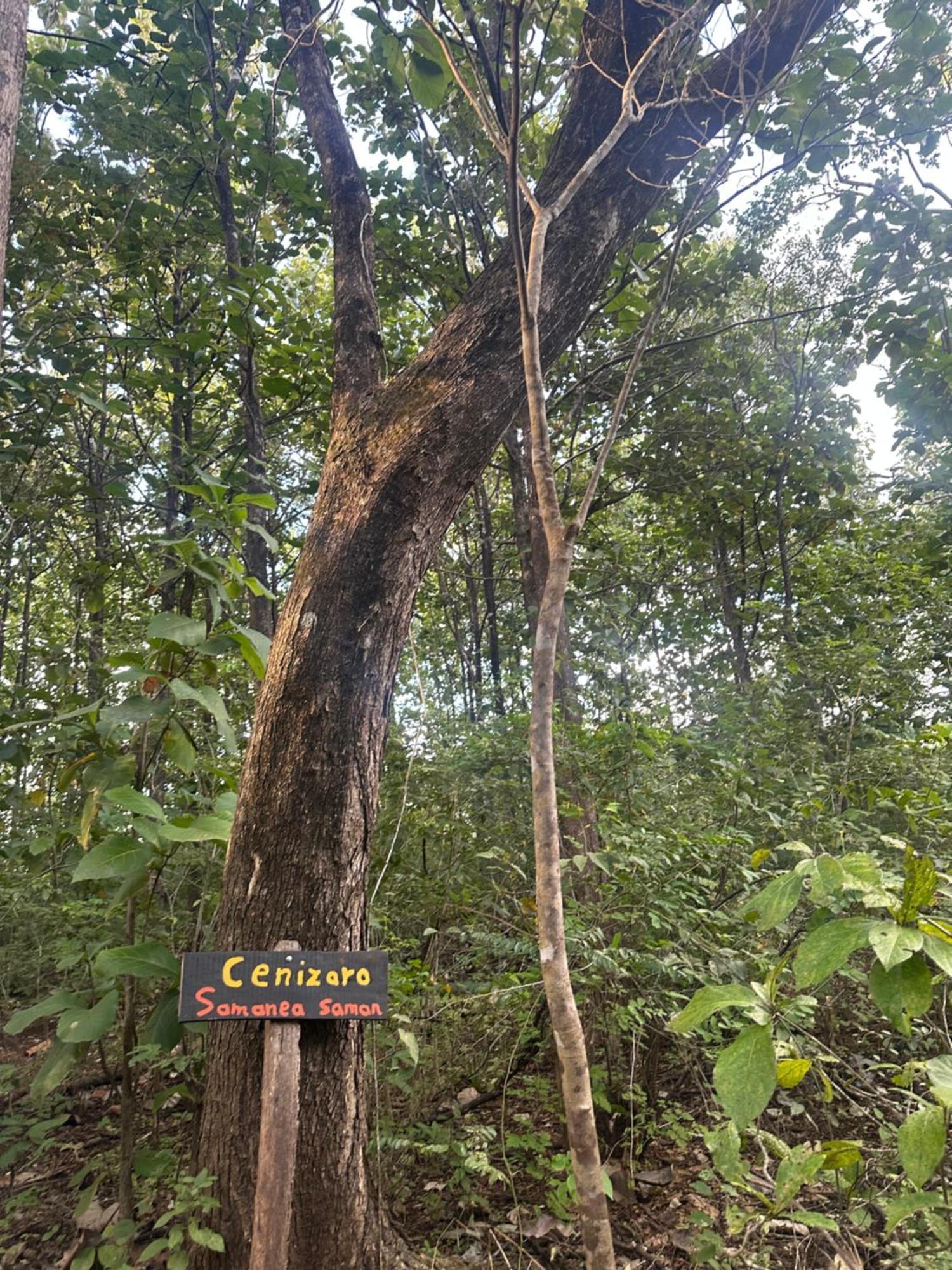 Finca Avellanas Lorena Esterno foto